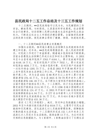 县民政局十二五工作总结及十三五工作规划