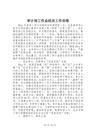 审计局工作总结及工作安排