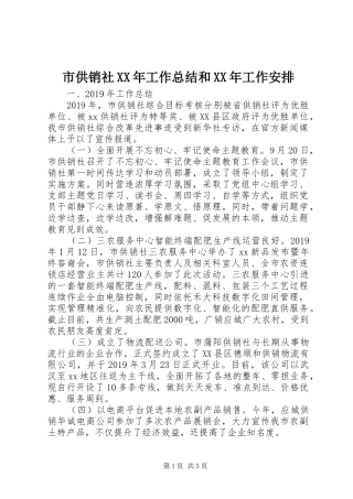 市供销社XX年工作总结和XX年工作安排