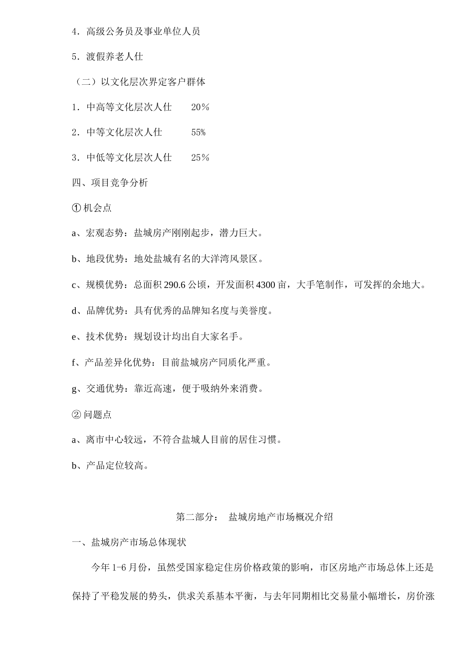 盐城市大洋湾畔电视广告投放计划书18(1)_第3页