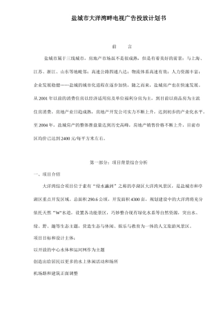 盐城市大洋湾畔电视广告投放计划书18(1)