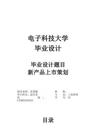 毕业设计_市场营销