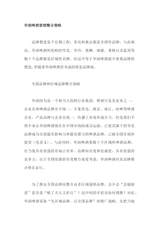 某某啤酒营销整合策略