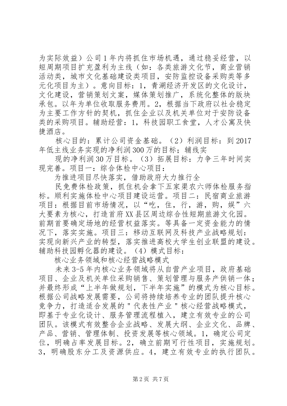企业发展战略计划书_第2页