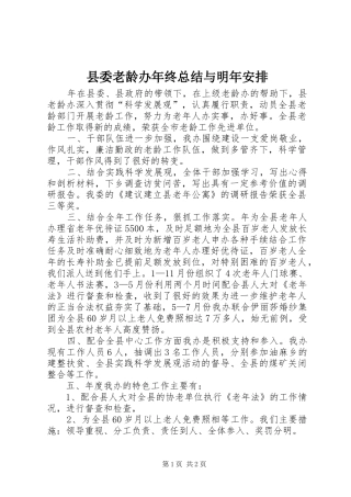 县委老龄办年终总结与明年安排