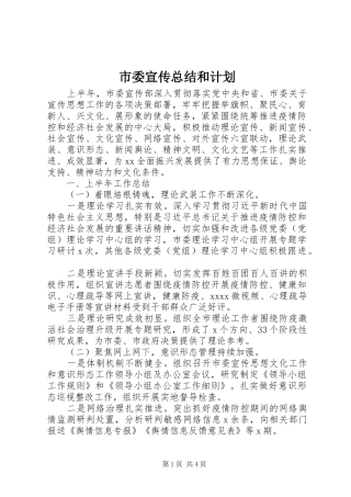 市委宣传总结和计划