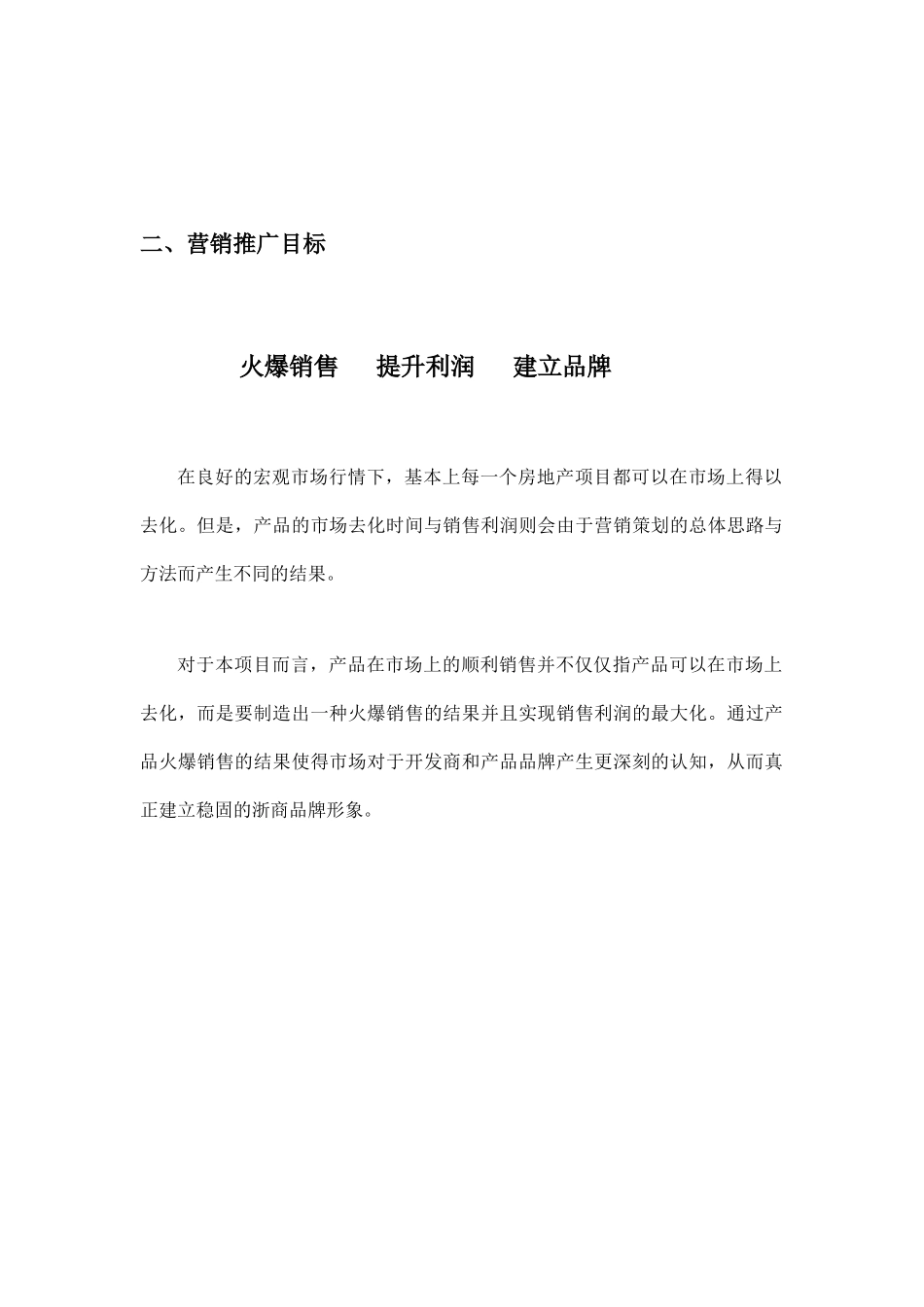 南京某商品城营销推广方案_第2页