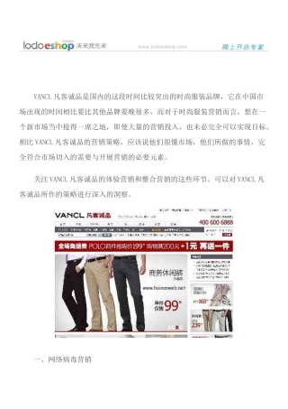 网络营销成功案例分析