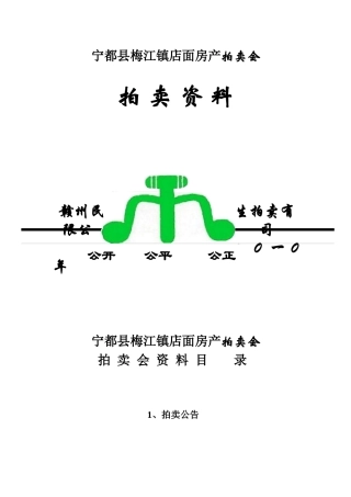 宁都县梅江镇店面房产拍卖会