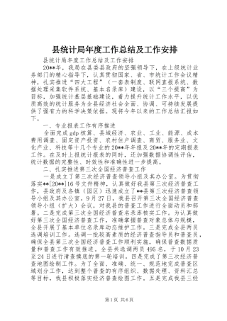县统计局年度工作总结及工作安排