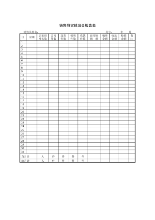 销售员实绩综合报告表（ 1页）