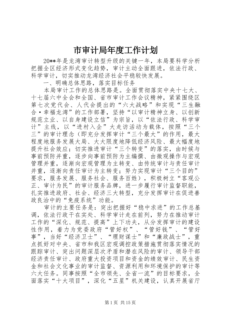 市审计局年度工作计划_第1页