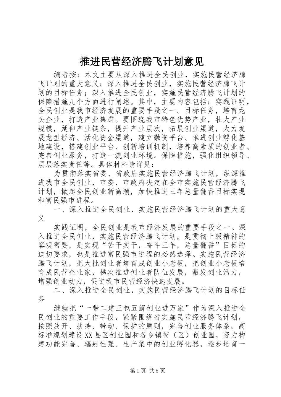 推进民营经济腾飞计划意见_第1页