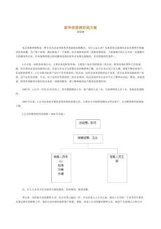 新华信营销咨询方案