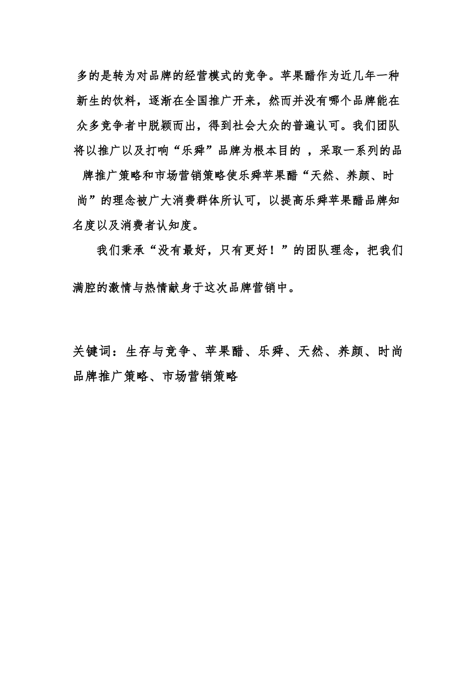 乐舜营销策划书_第2页