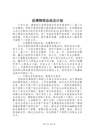 县博物馆总结及计划
