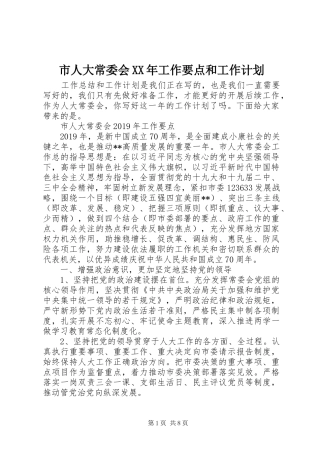市人大常委会XX年工作要点和工作计划