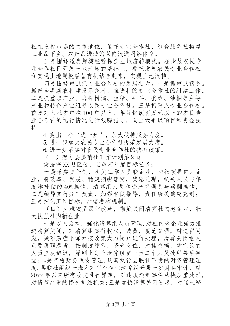 县供销社工作计划_第3页