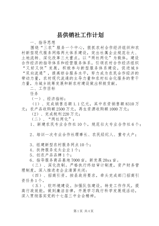 县供销社工作计划