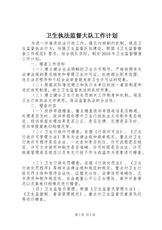 卫生执法监督大队工作计划