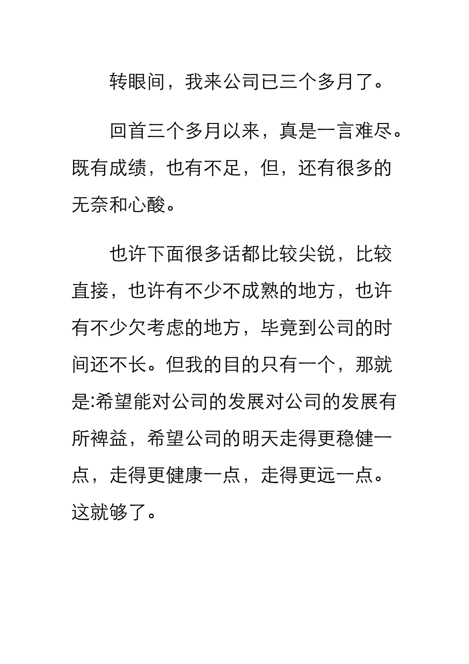 营销总监的职务报告_第2页