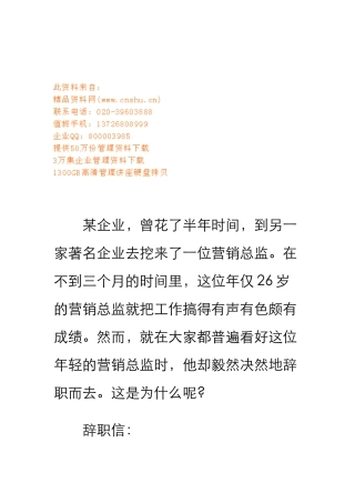 营销总监的职务报告