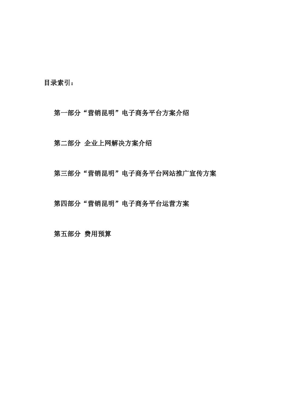 营销昆明电子商务网站网站建设方案_第2页