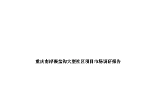 重庆某大型项目市场调研报告