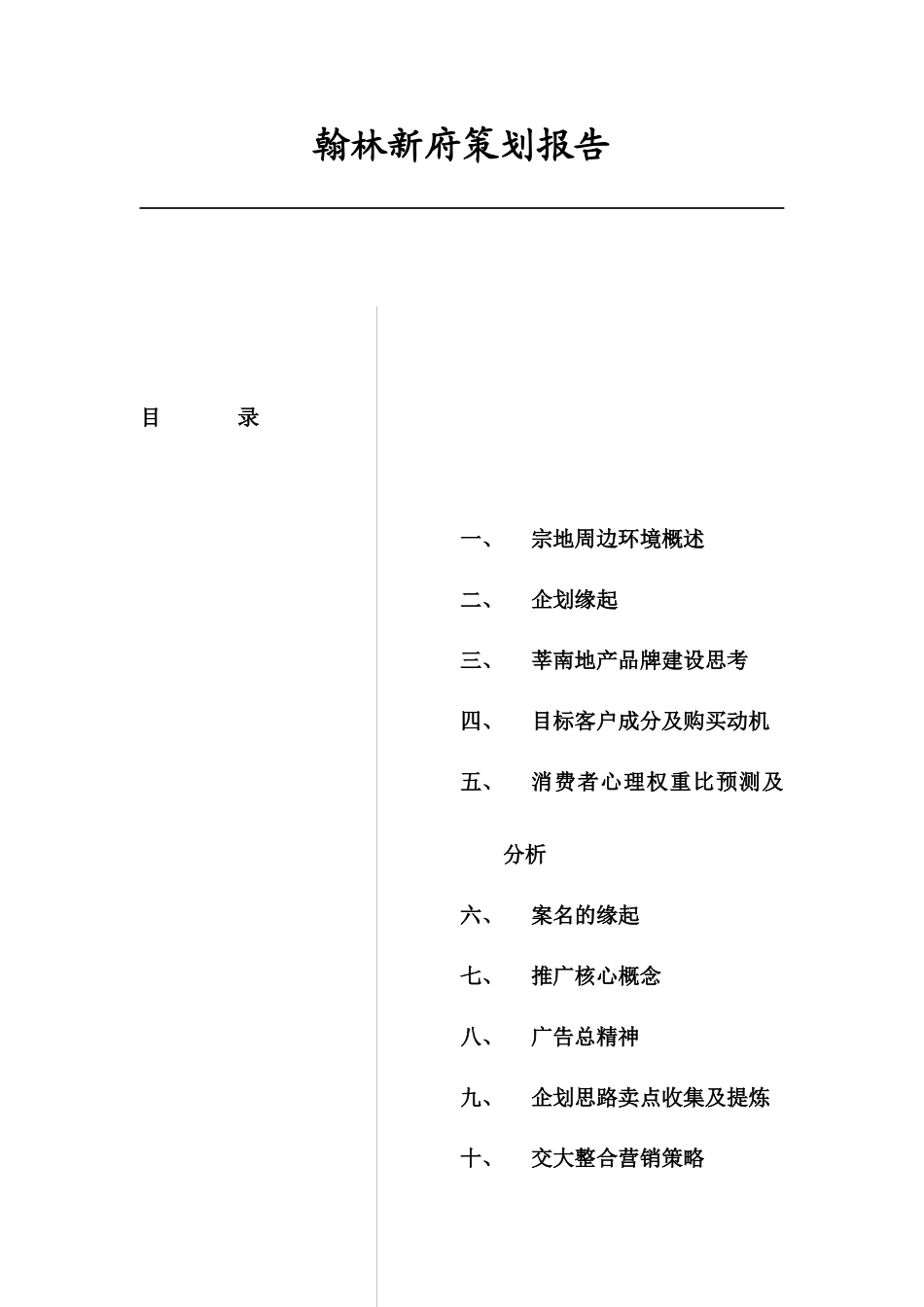 整合营销策略及策划报告_第1页