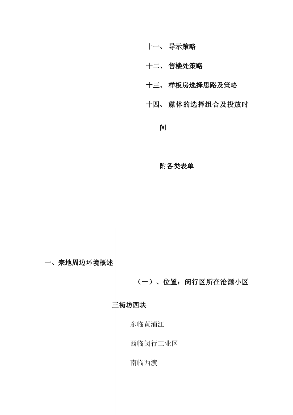 整合营销策略及策划报告_第2页