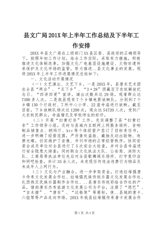 县文广局201X年上半年工作总结及下半年工作安排