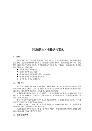 营销策划的提纲与要求