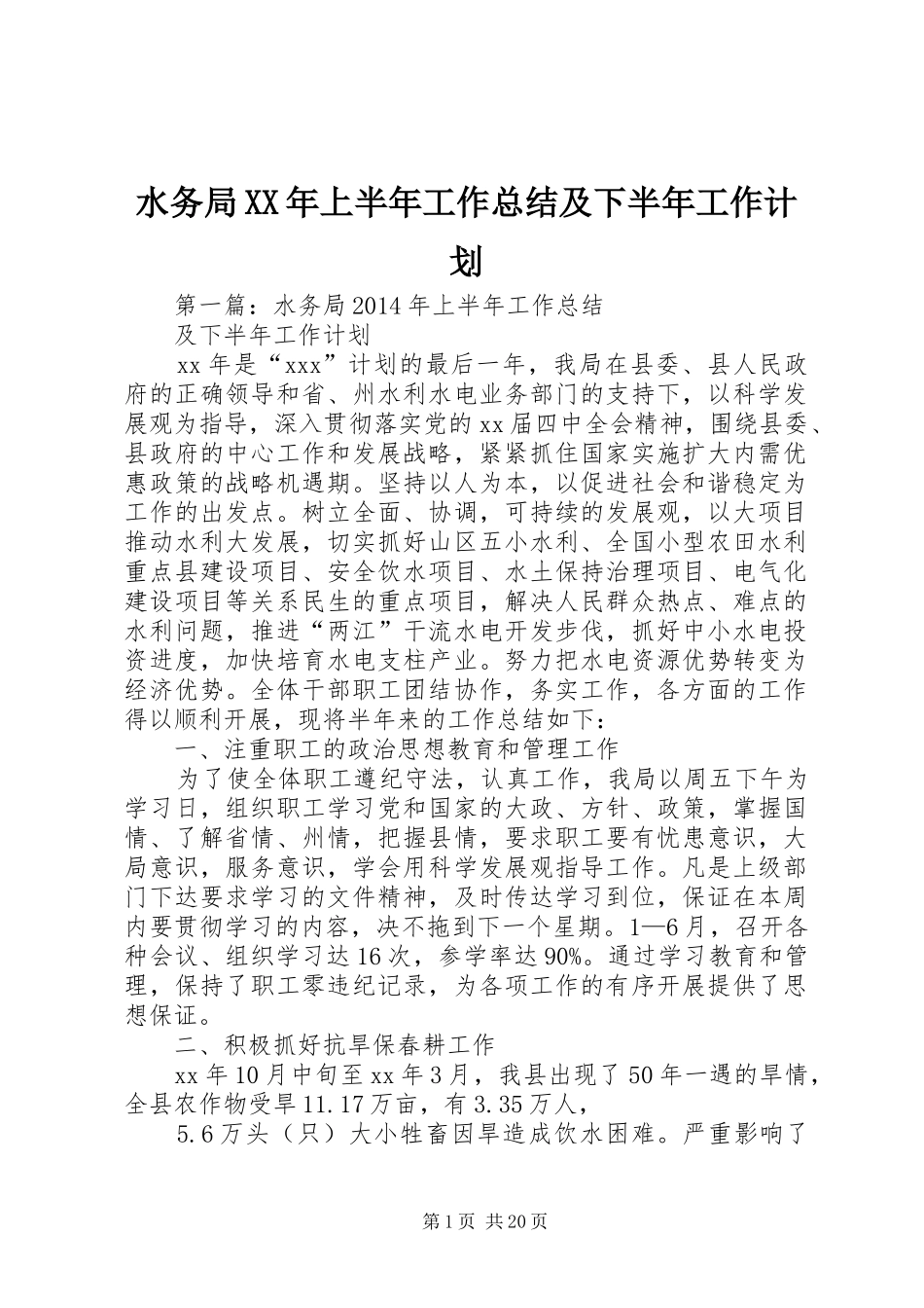 水务局XX年上半年工作总结及下半年工作计划_第1页