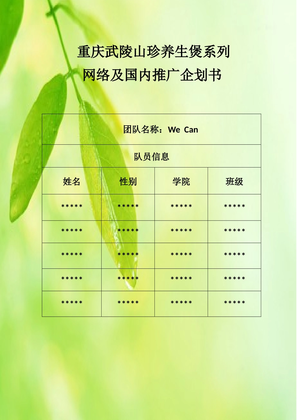 营销策划书(获奖作品)_第2页