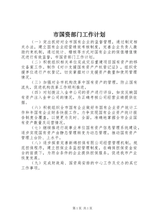 市国资部门工作计划