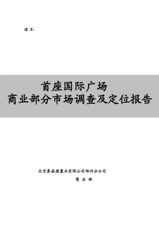 郑州市某国际广场项目商业市场调研及战略定位策划报告