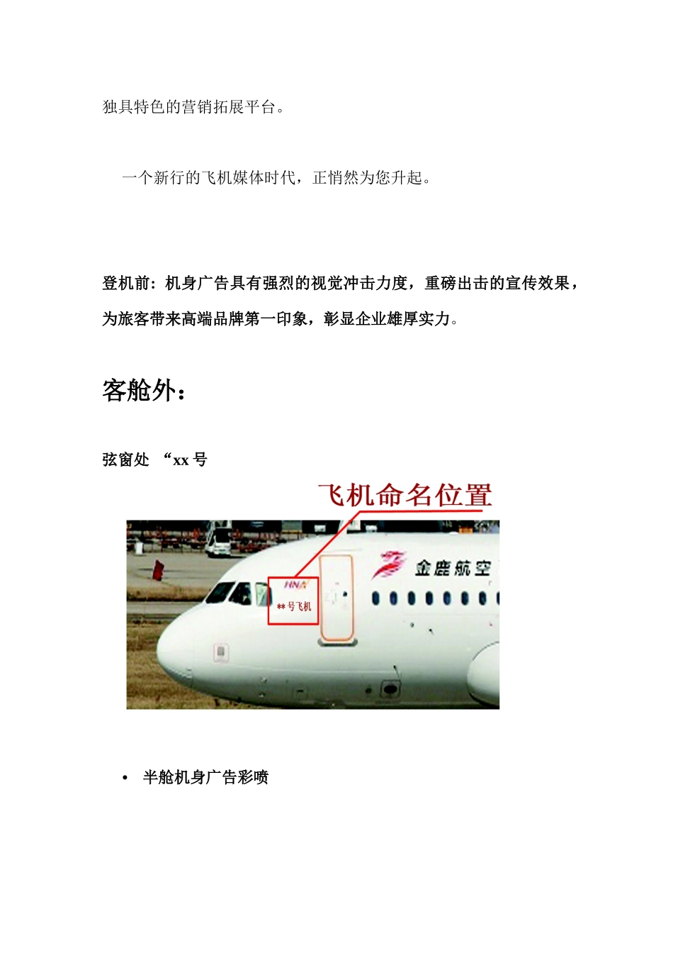 前言这将是一场空中华丽的广告盛宴畅游之旅_第2页