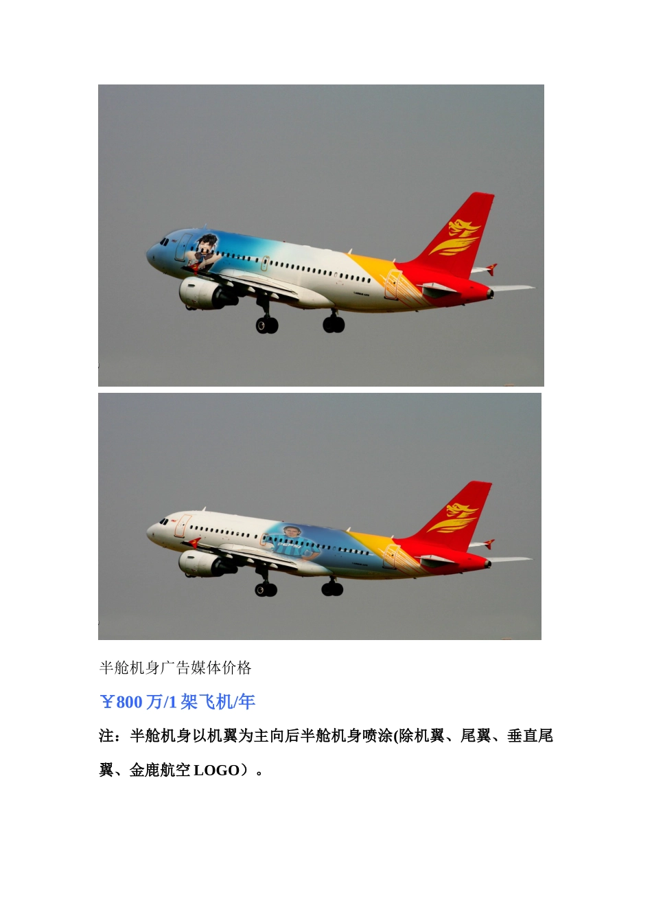 前言这将是一场空中华丽的广告盛宴畅游之旅_第3页