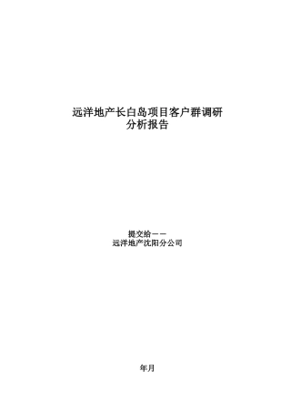 客户群调研分析报告