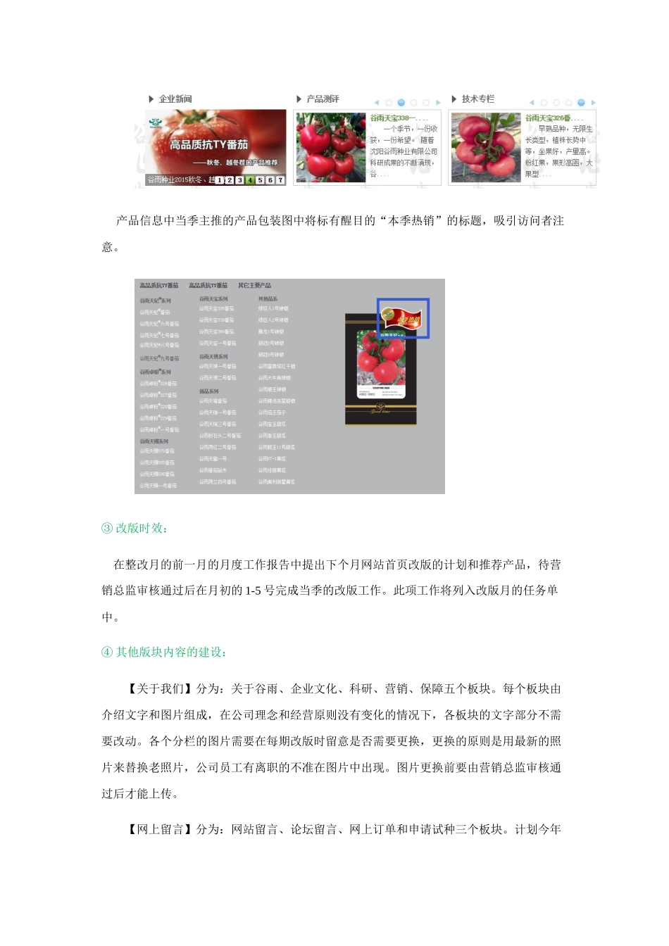 网络推广工作发展实施方案_第3页