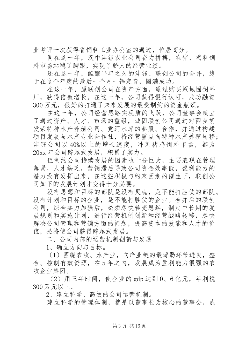 企业发展规划方案模板_第3页