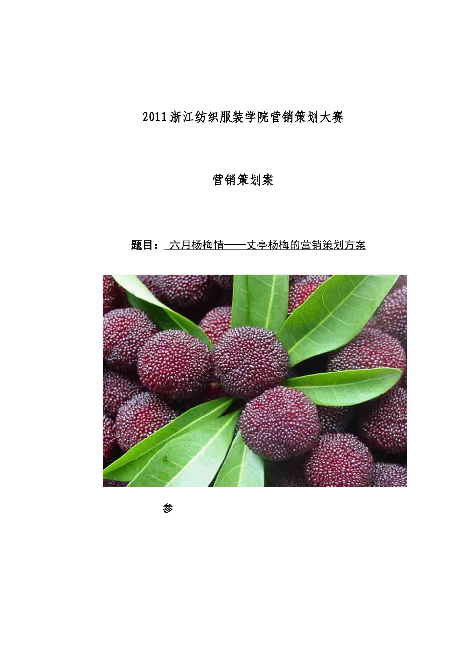 营销策划方案_第1页