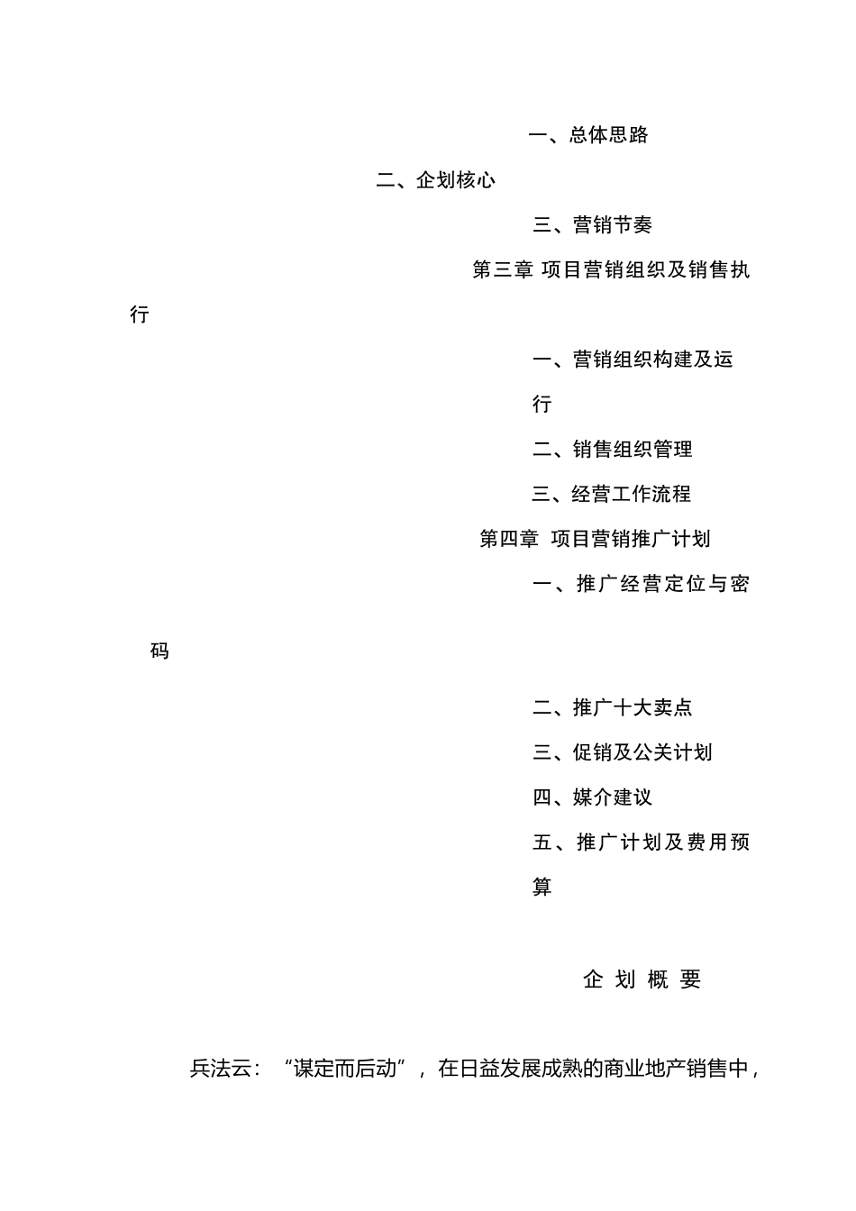 星河商业城地产项目营销企划方案_第3页