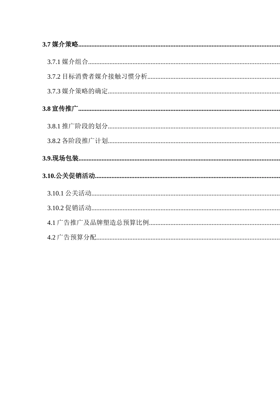 项目营销策略与定价策略_第3页