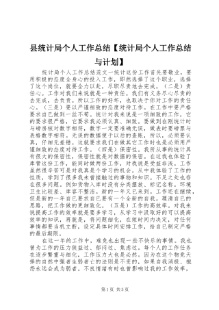 县统计局个人工作总结【统计局个人工作总结与计划】