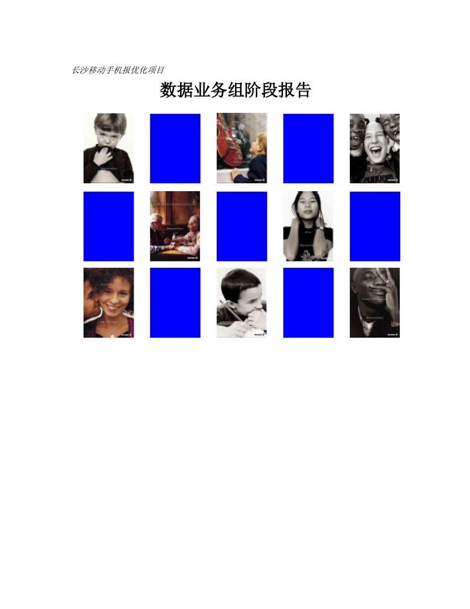 数据业务组总结报告_第1页