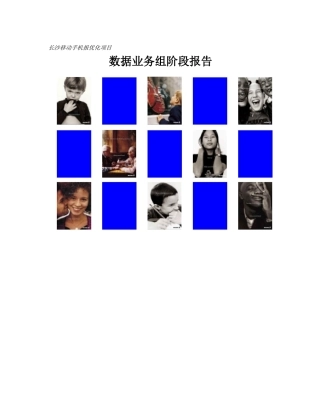 数据业务组总结报告