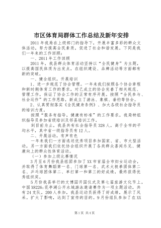 市区体育局群体工作总结及新年安排