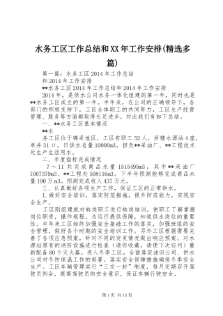 水务工区工作总结和XX年工作安排(精选多篇)
