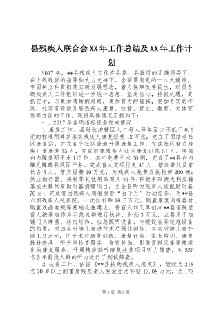 县残疾人联合会XX年工作总结及XX年工作计划